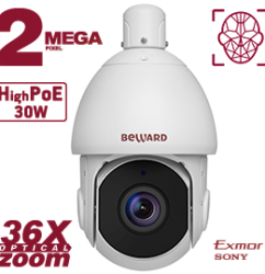 Beward SV2217-R36