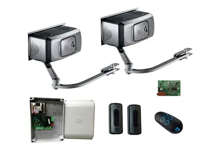 CAME CAME F1000RC KIT