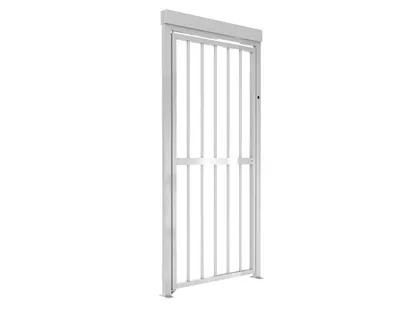 CAME CAME GUARDIAN GATE (001PSSGS)