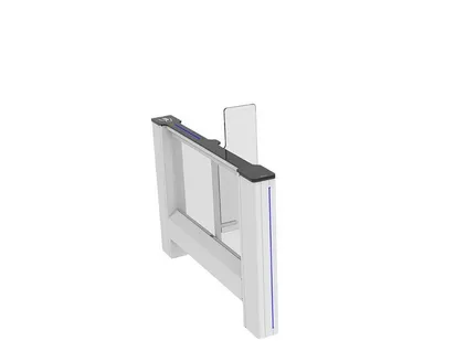 CAME CAME SWING GATE SWG 55 (001SWG55MS Slave)