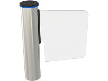 CAME CAME WING GL (001PSWNG4GL1)