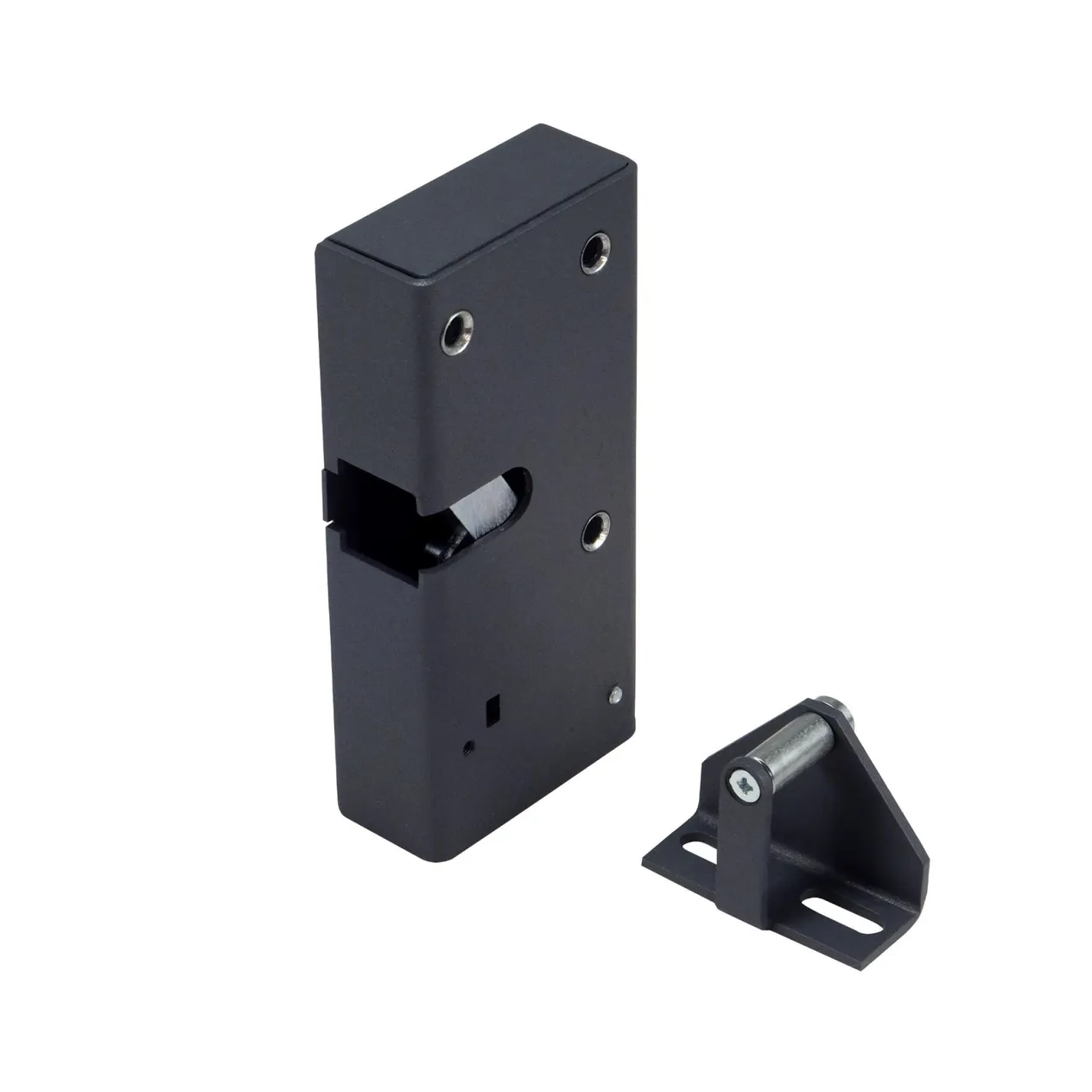 Промикс Promix-SM326.10.2-L (graphite) Промикс Promix-SM326.10.2-L (graphite)