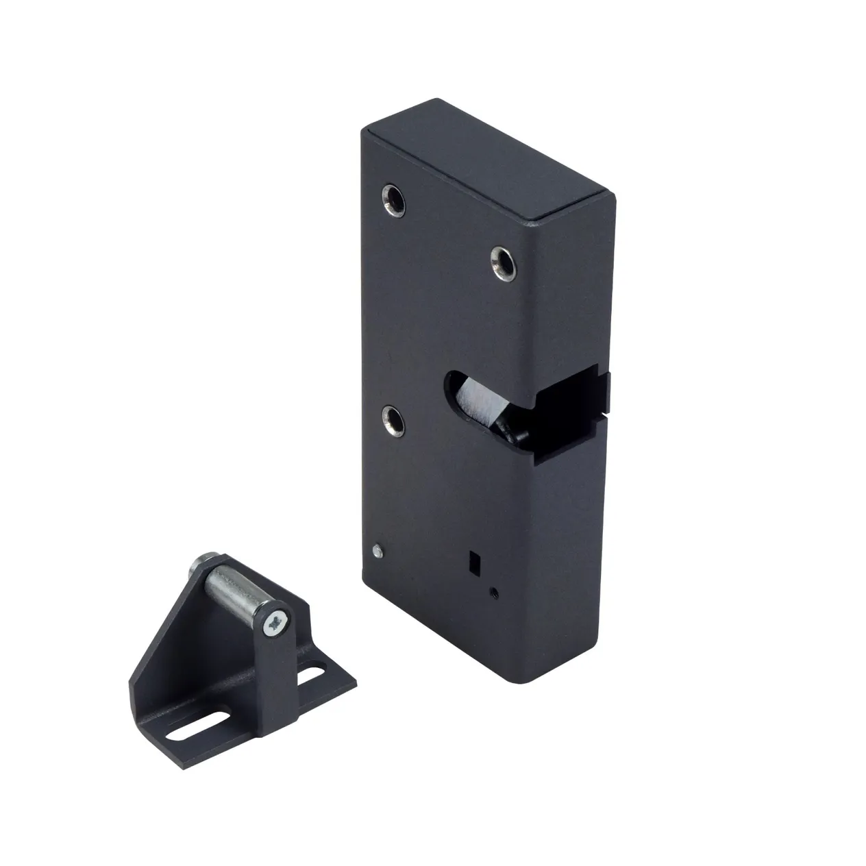 Промикс Promix-SM326.10.2-R (graphite) Промикс Promix-SM326.10.2-R (graphite)