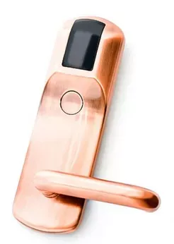 IronLogic Z-8 EHT (бронза) (EHT)