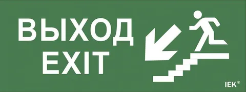 IEK Этикетка самоклеящаяся 240х90мм "Выход/лестница вниз/фигура" (LPC10-1-24-09-VLVNF) IEK Этикетка самоклеящаяся 240х90мм "Выход/лестница вниз/фигура" (LPC10-1-24-09-VLVNF)