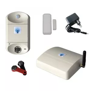 Альтоника Датчик герконовый к TAVR-2 (GSM-дача-02) Альтоника Датчик герконовый к TAVR-2 (GSM-дача-02)